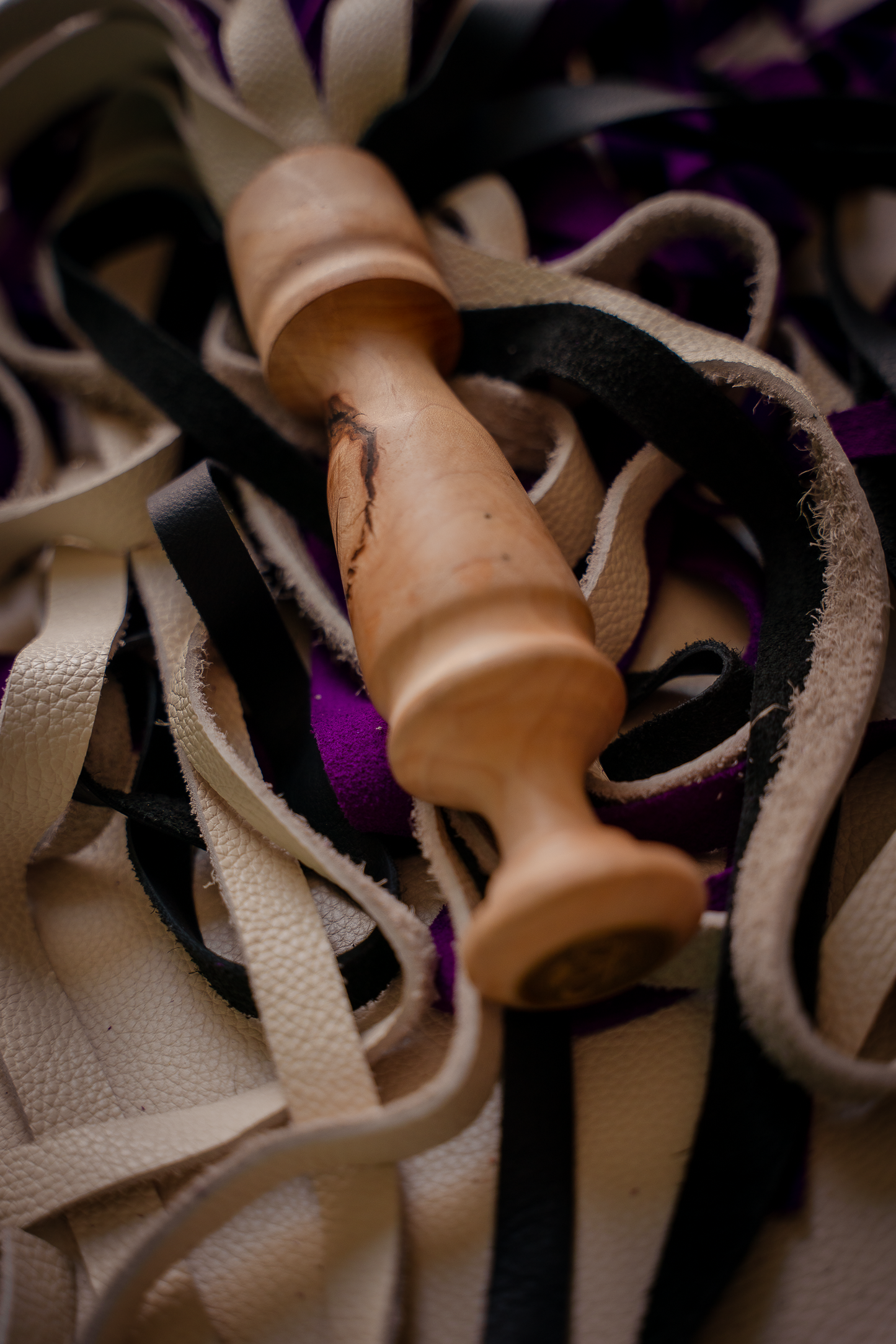 Flgr_  Maple_white.purple.black