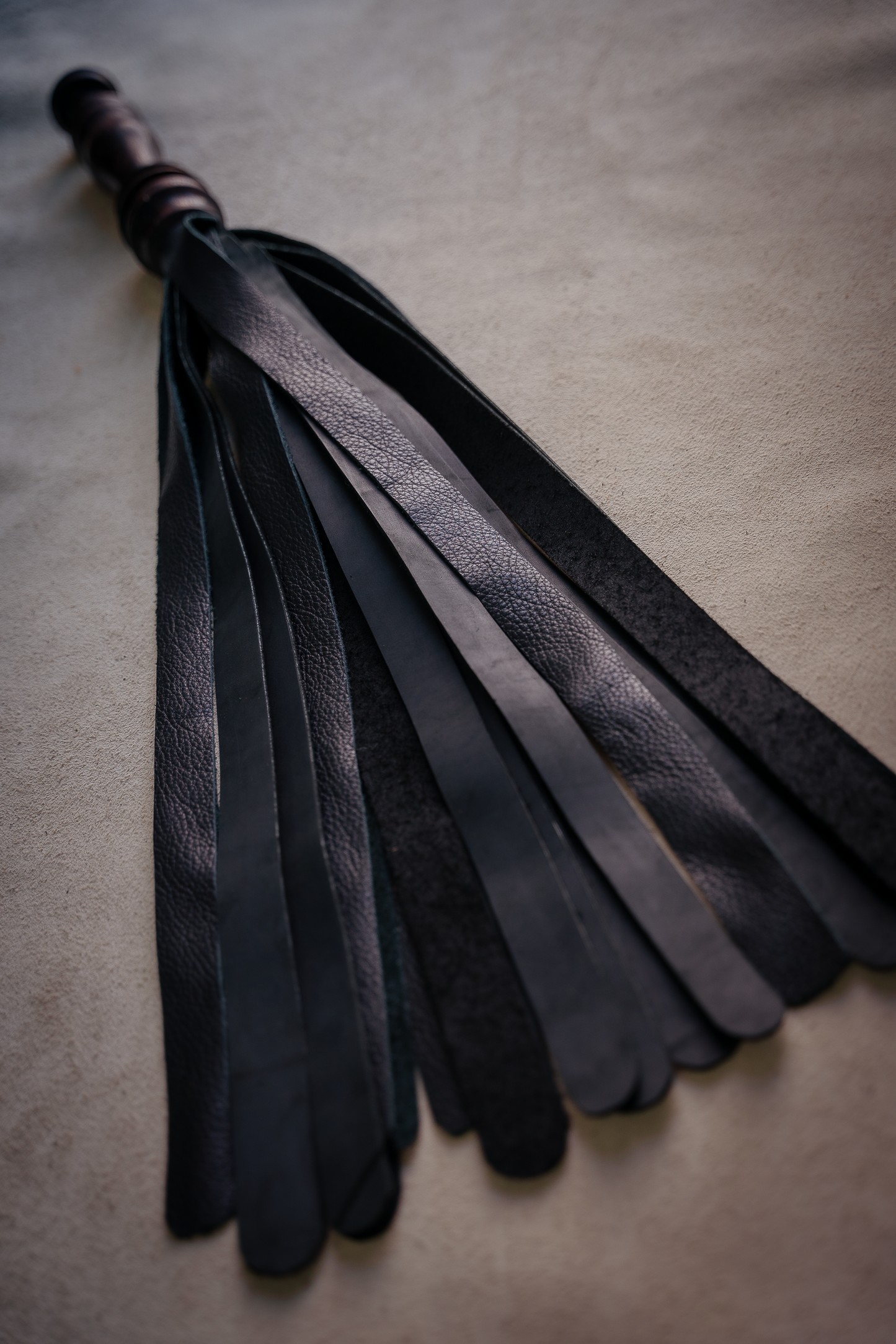Flgr_  Indian Laurel_black