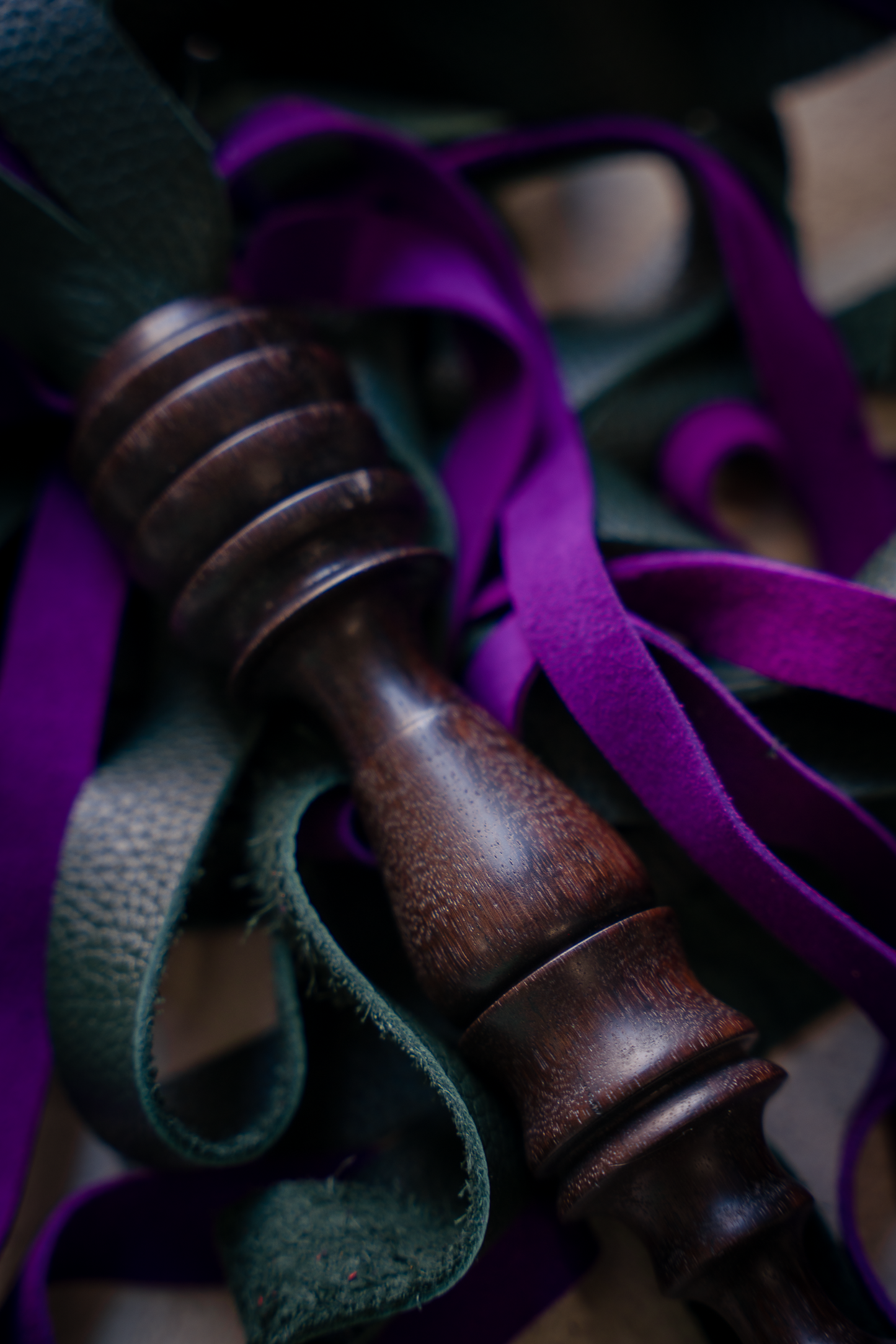 Flgr_  Indian Laurel_purple.drk green