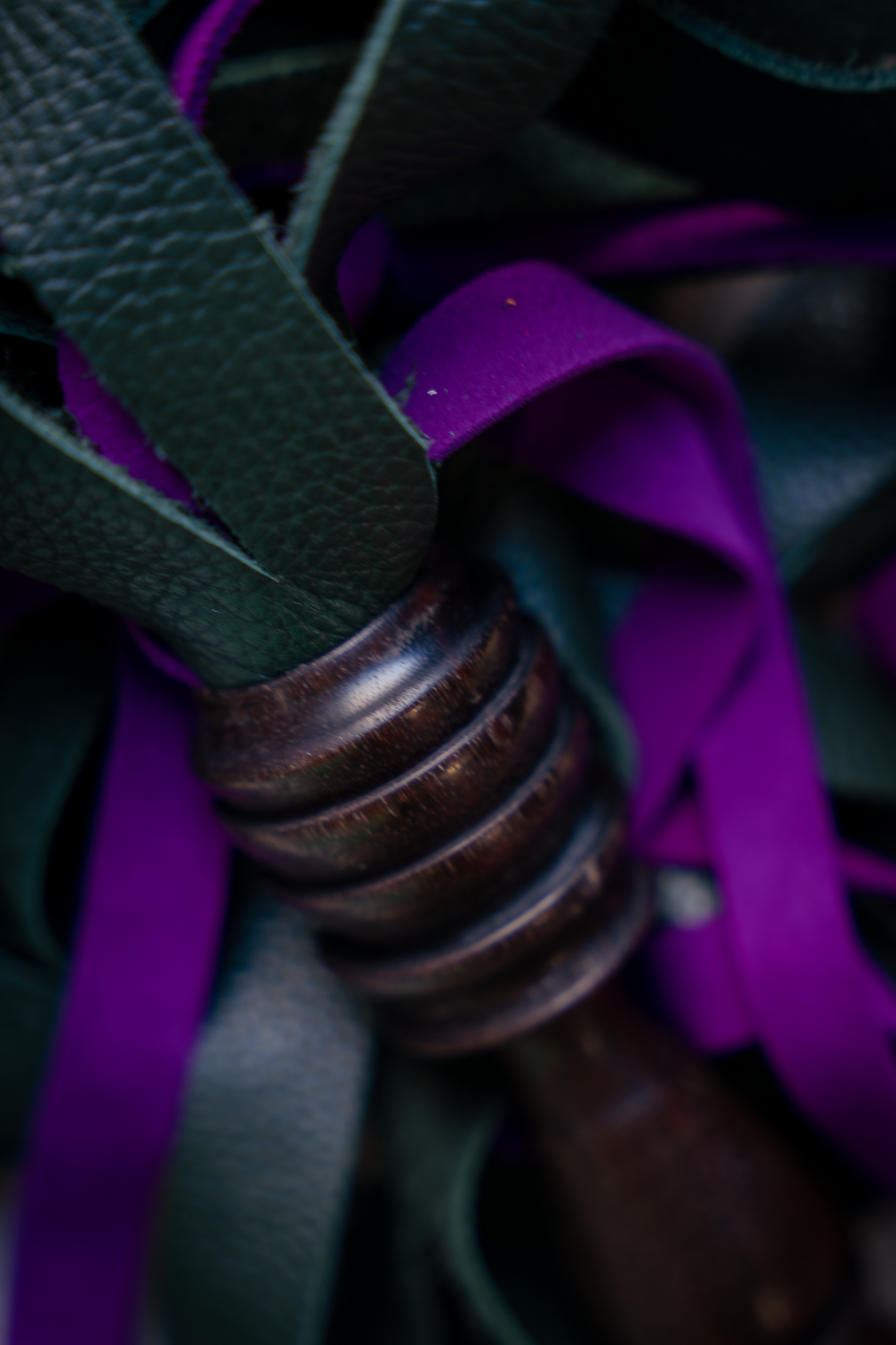 Flgr_  Indian Laurel_purple.drk green